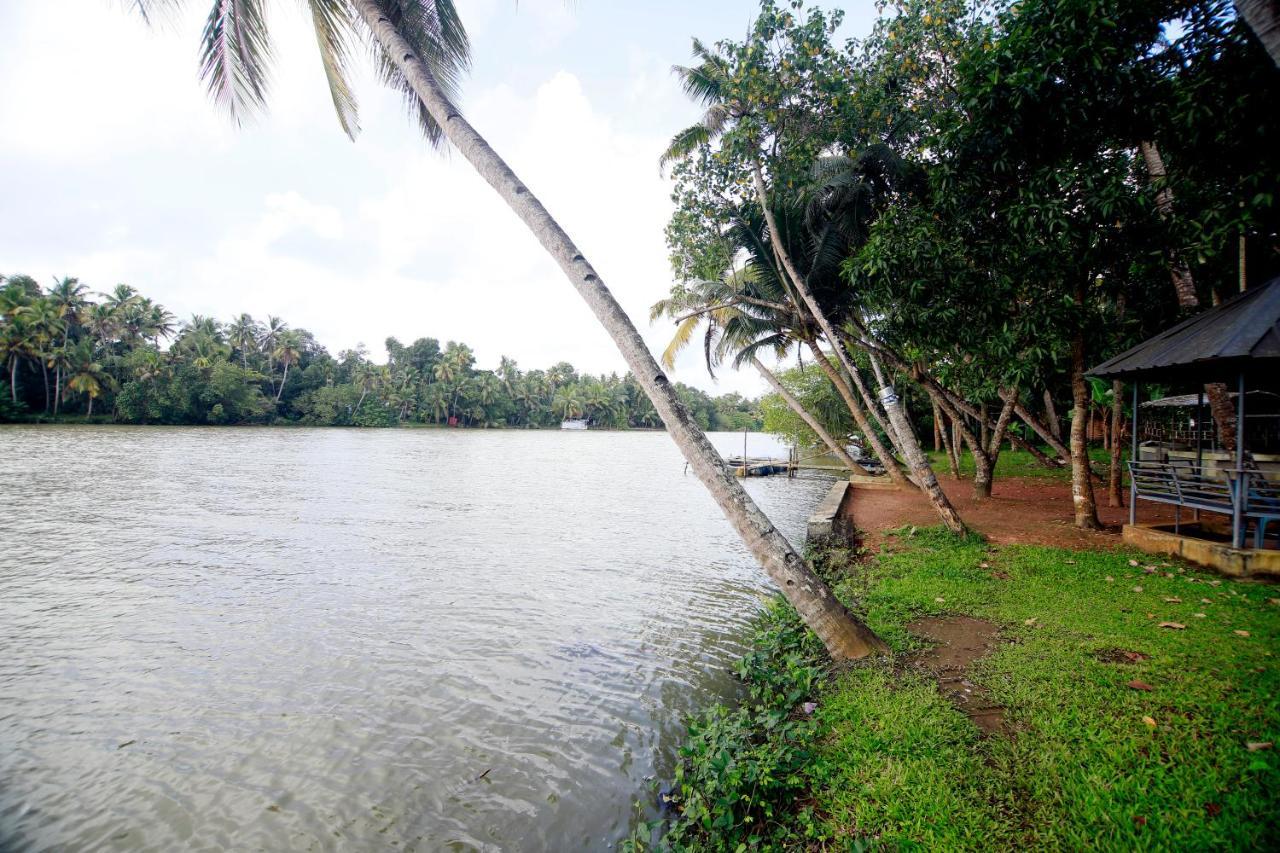 Munroe Lagoons Homestay *